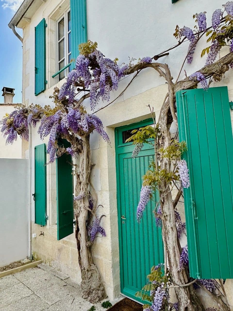 Ruelles fleuries de Sainte-Marie-de-Re, charme retais