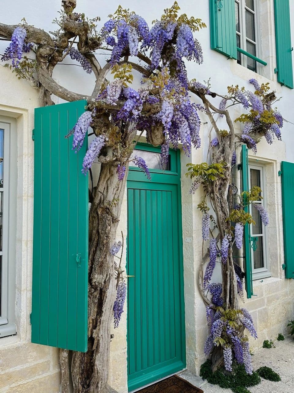 Entrée charmante du 8 Montamer, location Ile de Ré